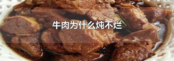 牛肉为什么炖不烂