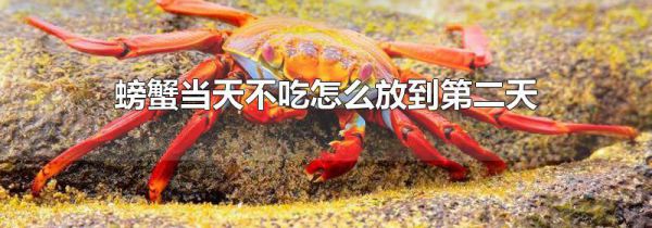 螃蟹当天不吃怎么放到第二天