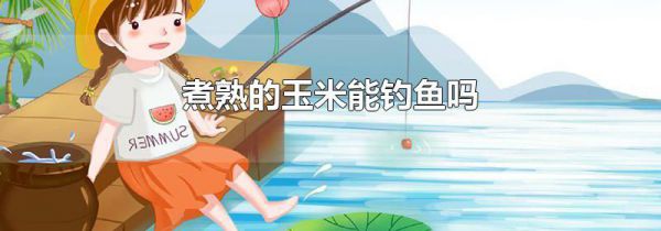 煮熟的玉米能钓鱼吗