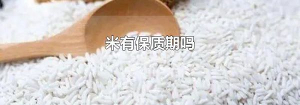 米有保质期吗