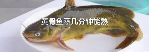 黄骨鱼蒸几分钟能熟