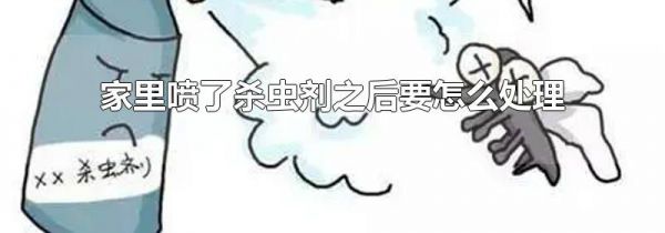 家里喷了杀虫剂之后要怎么处理
