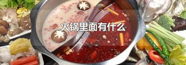火锅里面有什么