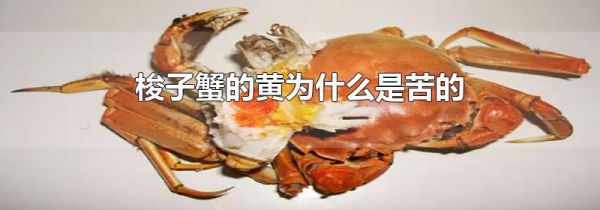 梭子蟹的黄为什么是苦的