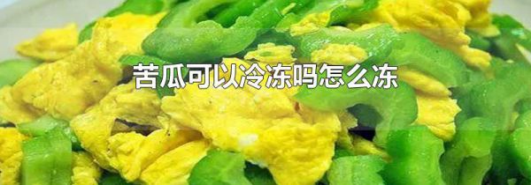 苦瓜可以冷冻吗怎么冻