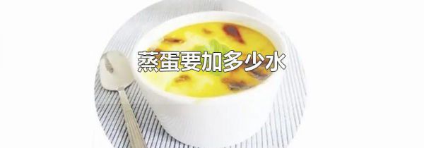 蒸蛋要加多少水