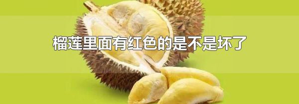榴莲里面有红色的是不是坏了