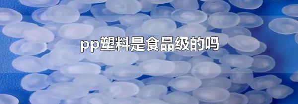 pp塑料是食品级的吗