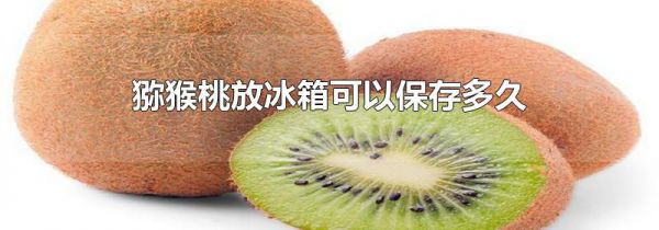 猕猴桃放冰箱可以保存多久