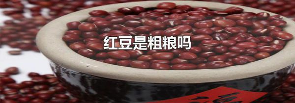 红豆是粗粮吗
