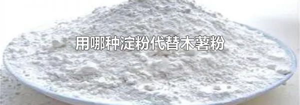 用哪种淀粉代替木薯粉