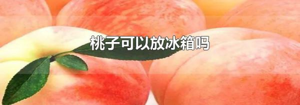 桃子可以放冰箱吗