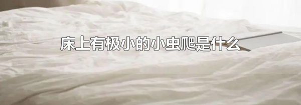 床上有极小的小虫爬是什么