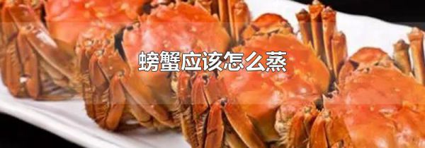 螃蟹应该怎么蒸