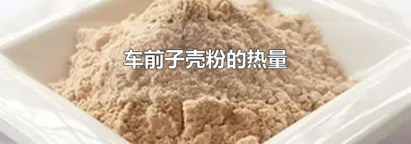 车前子壳粉的热量