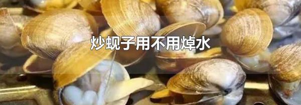 炒蚬子用不用焯水