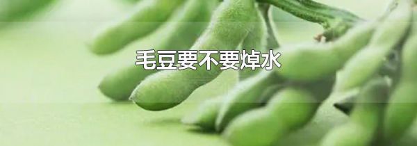 毛豆要不要焯水