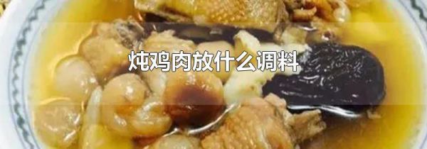 炖鸡肉放什么调料