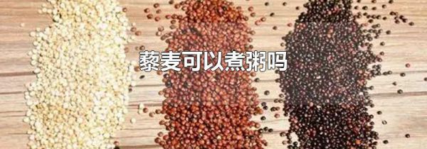藜麦可以煮粥吗