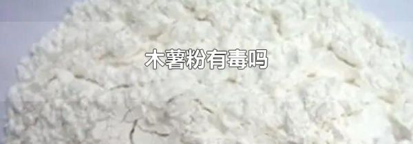 木薯粉有毒吗
