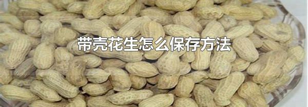 带壳花生怎么保存方法