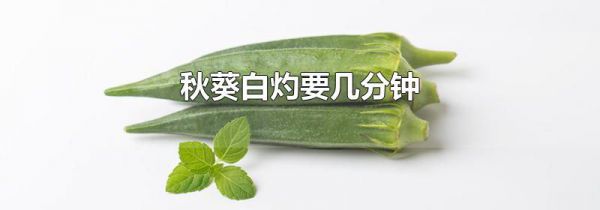 秋葵白灼要几分钟