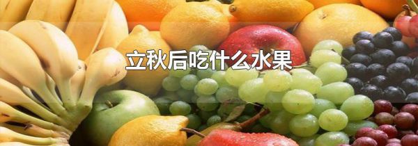 立秋后吃什么水果