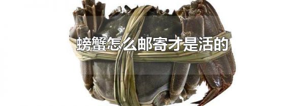 螃蟹怎么邮寄才是活的