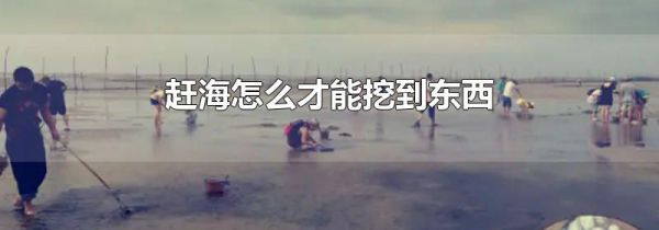 赶海怎么才能挖到东西