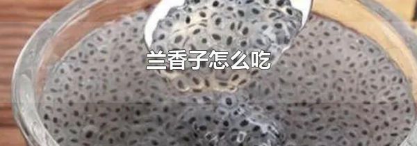 兰香子怎么吃