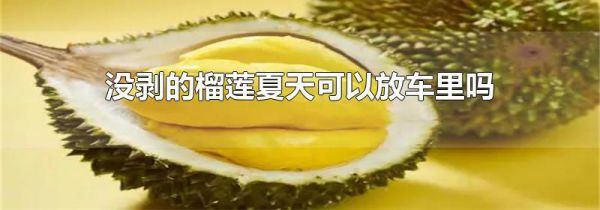 没剥的榴莲夏天可以放车里吗
