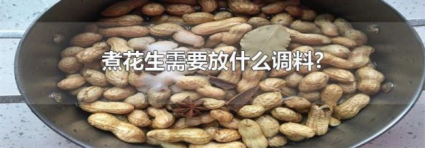 煮花生需要放什么调料?