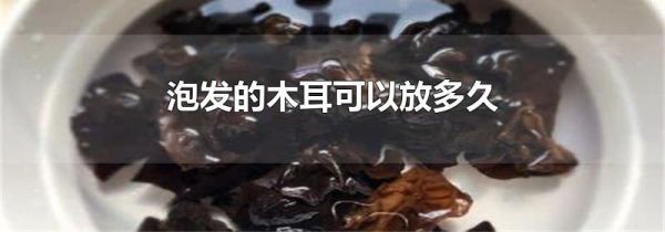 泡发的木耳可以放多久
