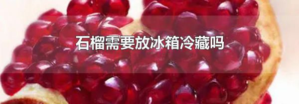 石榴需要放冰箱冷藏吗