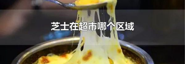 芝士在超市哪个区域