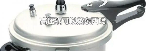 高压锅可以蒸东西吗