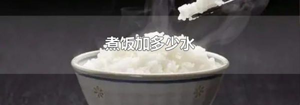 煮饭加多少水