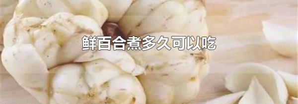 鲜百合煮多久可以吃
