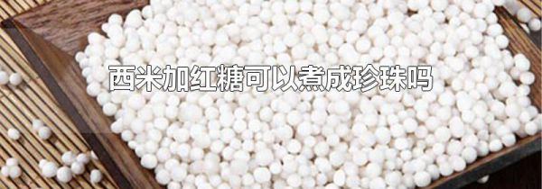 西米加红糖可以煮成珍珠吗