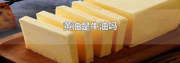 黄油是牛油吗