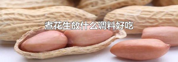 煮花生放什么调料好吃