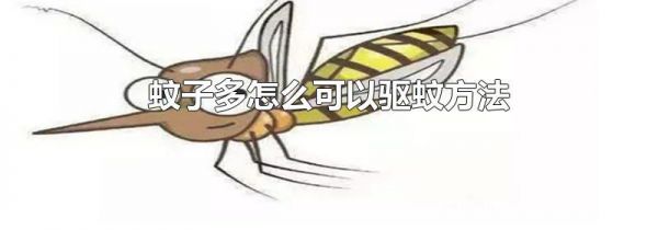 蚊子多怎么可以驱蚊方法