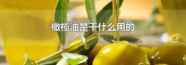 橄榄油是干什么用的