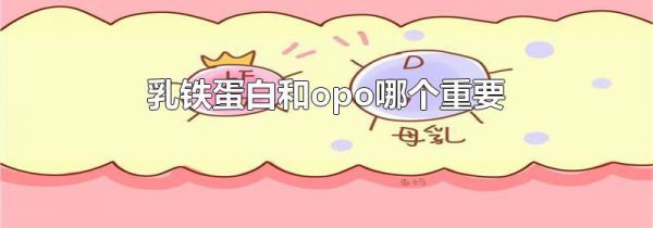 乳铁蛋白和opo哪个重要