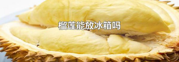 榴莲能放冰箱吗