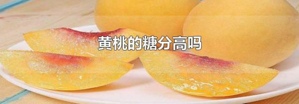 黄桃的糖分高吗