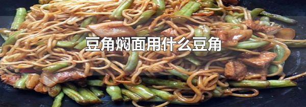 豆角焖面用什么豆角