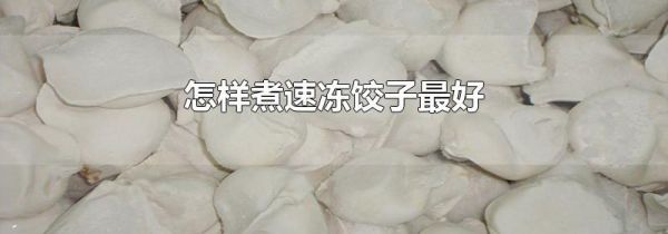 怎样煮速冻饺子最好