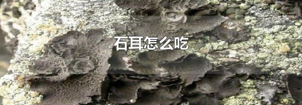 石耳怎么吃