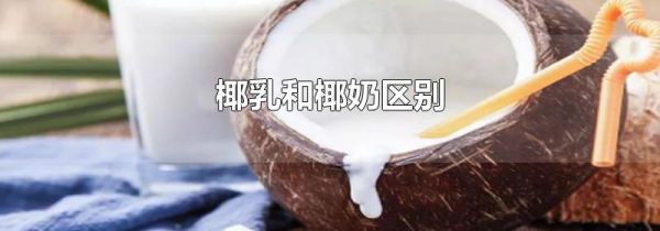 椰乳和椰奶区别